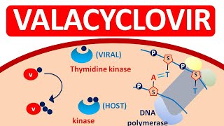 Valacyclovir Tablets VALTREX for herpes infections [upl. by Francesco893]