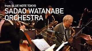 quot渡辺貞夫 SADAO WATANABE ORCHESTRAquot BLUE NOTE TOKYO Interview amp Live Streaming 2020 [upl. by Fleurette]