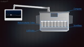 Gamma Camera Animation [upl. by Ahsimek]