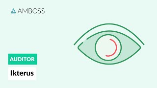 Differentialdiagnostik des Ikterus  AMBOSS Auditor [upl. by Fredie268]