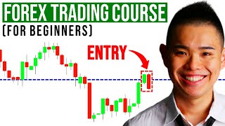 The Ultimate Forex Trading Course For Beginners [upl. by Acnairb]