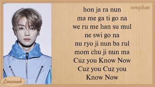 NCT U  Know Now Easy Lyrics [upl. by Lleruj]