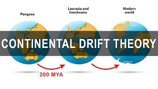 Continental Drift Theory  Alfred Wegener  Pangea  Gondwanaland [upl. by Halima143]