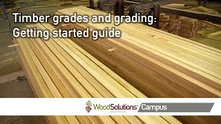 Timber grades and grading Getting started guide [upl. by Aihsenad116]