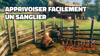 Valheim  Comment apprivoiser facilement un sanglier  Voici le guide du domptage  Ultrawide 219 [upl. by Tessie]