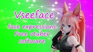 Vseeface Tutorial face tracking eye tracking Free vtuber program [upl. by Redmer]