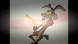 Wile E Coyote and The Road Runner episode 1120 [upl. by Sculley]