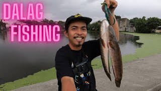 Urban Fishing Philippines  Kawit Cavite  Ep66 [upl. by Dorotea843]