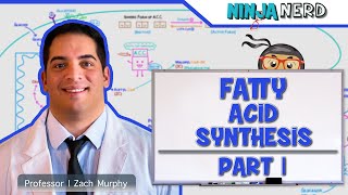 Metabolism  Fatty Acid Synthesis Part 1 [upl. by Prospero]