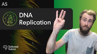 DNA Replication  A Level Biology Revision  AQA [upl. by Iahc227]