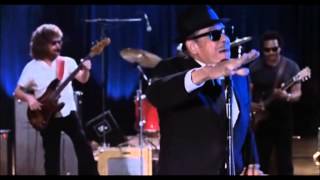 Blues Brothers Concert Intro [upl. by Adhamh]