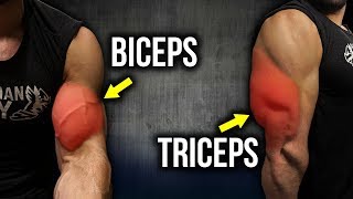 5 KILLER Biceps amp Triceps Exercises FULL BIG ARMS WORKOUT [upl. by Labotsirhc]