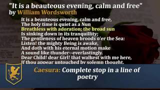 Sonnets Video 7 Wordsworth quotIt is a beauteous evening calm and freequot [upl. by Inajna]