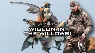 Duck Hunting  Shooting Wigeon in Arkansas K ZONE TV  Wigeon In The Willows [upl. by Dee Dee]