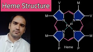 Heme  Structure  Porphyrin  types of porphyrins  bond between oxygen and iron [upl. by Franciscka717]