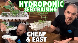 Cheap amp Easy DIY Hydroponic Seed Raising Technique [upl. by Fax]