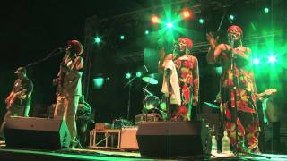 Three little birds Bob Marley tribute band [upl. by Aeki]