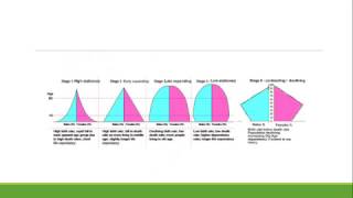 The Demographic Transition Model Explained [upl. by Kilian112]