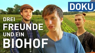 Drei Freunde und ein Biohof  erlebnis Hessen  Doku [upl. by Judie]