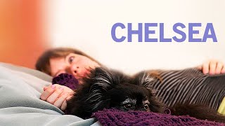 Chelsea  POLSKI LEKTOR  Darmowy Film Fabularny  Cały Film  Polish Voiceover  Dramat [upl. by Araed]