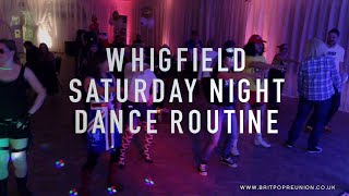 Remember the 1990s Whigfield Saturday Night Dance Routine [upl. by Uht845]