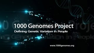 1000 Genomes Project Defining Genetic Variation in People [upl. by Joshia467]