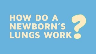 How Do A Newborns Lungs Work [upl. by Negah]