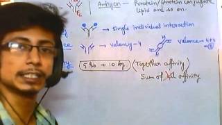 Antigen antibody reaction overview [upl. by Ylla]