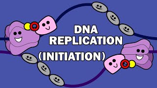 DNA REPLICATION 13  INITIATION [upl. by Etak]