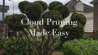 Cloud Pruning Made Easy [upl. by Ahkihs]