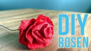 Rosen Geschenk  Krepppapier Blumen basteln DIY  Valentinstag Muttertag [upl. by Aicilic]