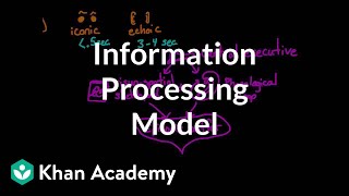 Information processing model Sensory working and long term memory  MCAT  Khan Academy [upl. by Ellekcir]