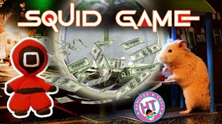 Hamsters in Squid Game [upl. by Anida]