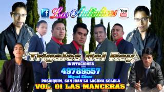 06 LOS TRIGALES DEL REY LA ESPERANZA EN DIOS VOL 01 [upl. by Osy]