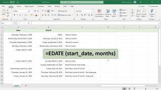 How to Use EDATE function in Excel  Office 365 [upl. by Artamas]