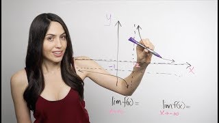 Introduction to Limits NancyPi [upl. by Ayr]