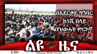 Ethiopian Media Services [upl. by Janus]