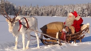 Mejores mensajes de Papá Noel 😍🎅 Santa Claus en español Laponia Finlandia Rovaniemi para familias [upl. by Biernat]