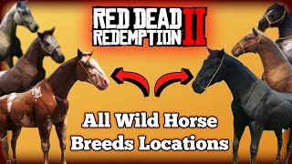 All Wild Horse Breed Locations in Red Dead Redemption 2 [upl. by Llerroj383]