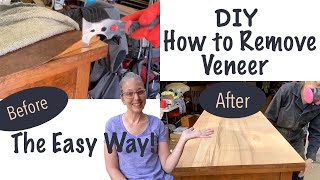 DIY  How To Remove Veneer The Easy Way [upl. by Newmark]