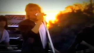 JOVENES TURCOS YOUNG TURKS  ROD STEWART 1080P HD [upl. by Adao569]