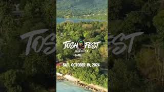 TOSH FEST 2024 [upl. by Griselda917]