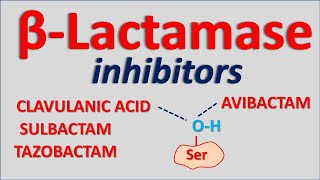 Betalactamase inhibitors [upl. by Soloman766]