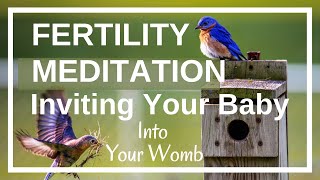 Fertility Meditation Inviting your baby into your womb Guided Imagery for getting pregnant [upl. by Trici]