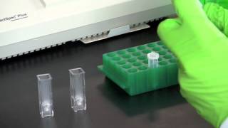 DNA Quantitation Using a Spectrophotometer [upl. by Mintun]