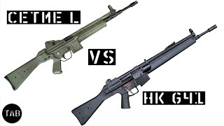 RollerDelayed 556 Rifles CETME L VS Heckler amp Koch G41 [upl. by Sorcha]