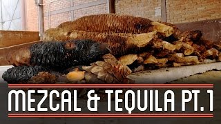 Mezcal and Tequila 13  How to Brew Everything [upl. by Hanako]