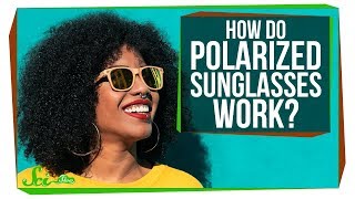 How Do Polarized Sunglasses Work [upl. by Amiel]