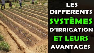 Les différents systèmes dirrigation en agriculture et leurs avantages [upl. by Ailsun]