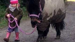 Skye and her Shetland pony [upl. by Hoag]